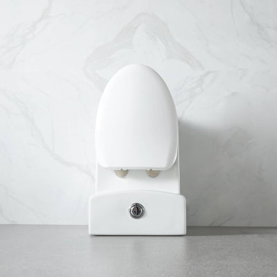 One Piece Toilet T9 01  - Shop at Home Craft Studio - 9