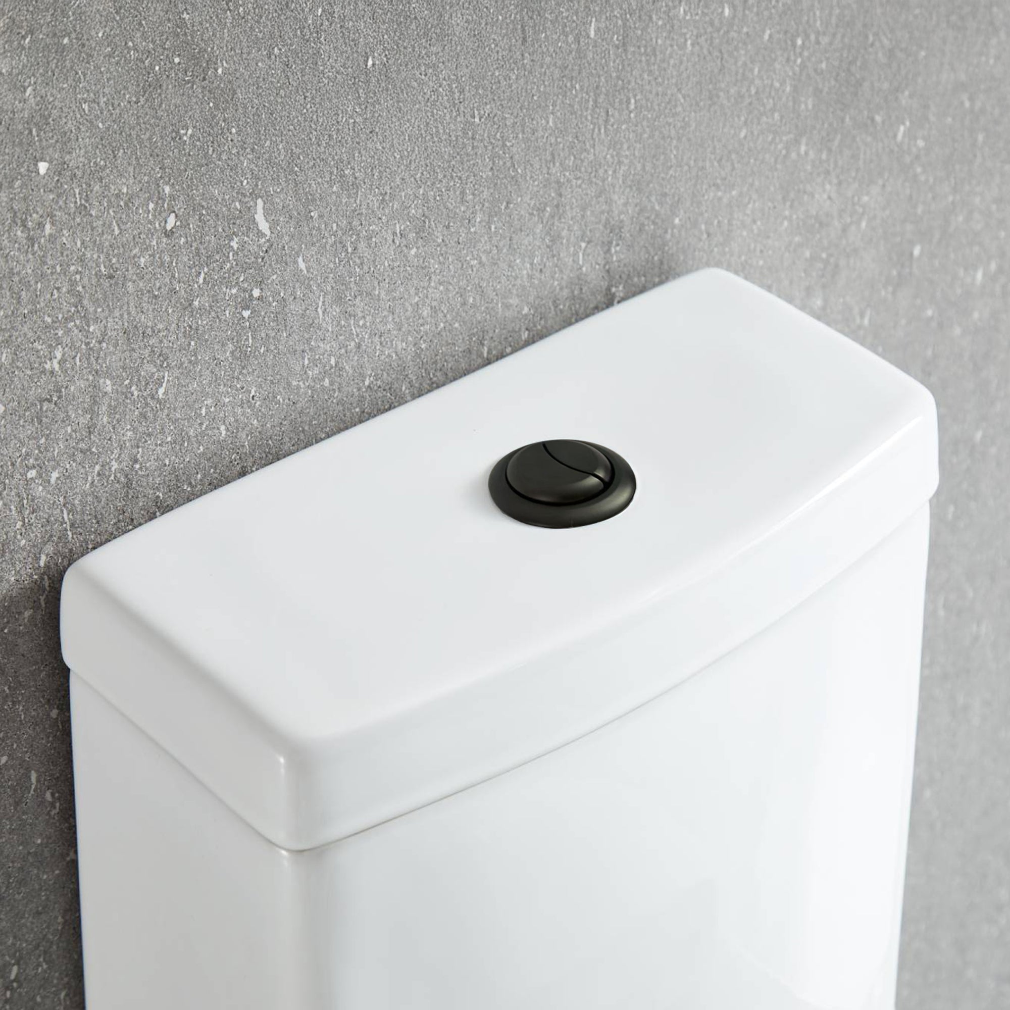 One Piece Toilet T9 02  - Shop at Home Craft Studio - 3