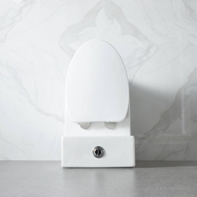 One Piece Toilet T9 04  - Shop at Home Craft Studio - 8