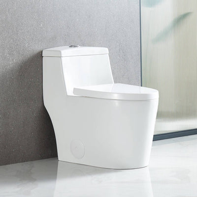 One Piece Toilet T9 05  - Shop at Home Craft Studio - 1