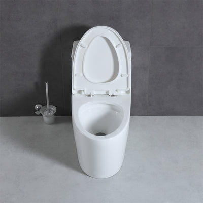 One Piece Toilet T9 05  - Shop at Home Craft Studio - 8