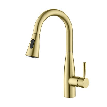 Plano Single Handle Pull Down Kitchen & Bar Sink Faucet - CKF-2015