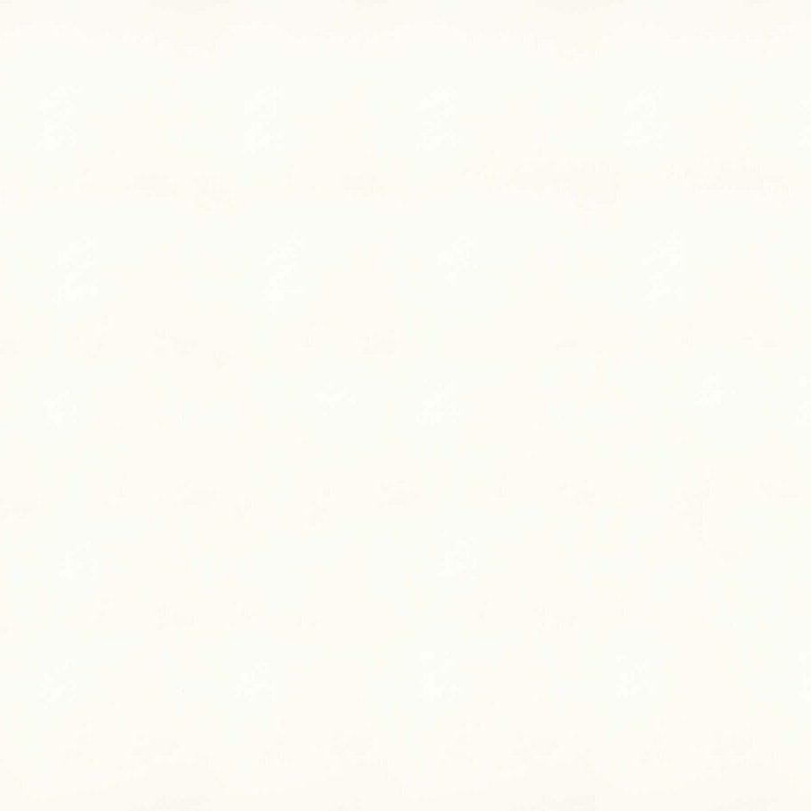 Caesarstone 1111 Vivid White Quartz Countertop Countertops - Shop at Home Craft Studio - 1