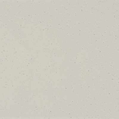 Caesarstone 4601 Frozen Terra Quartz Countertop Countertops - Shop at Home Craft Studio - 1