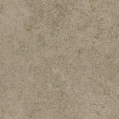Caesarstone 542 Mosstone Quartz Countertop Countertops - Shop at Home Craft Studio - 1