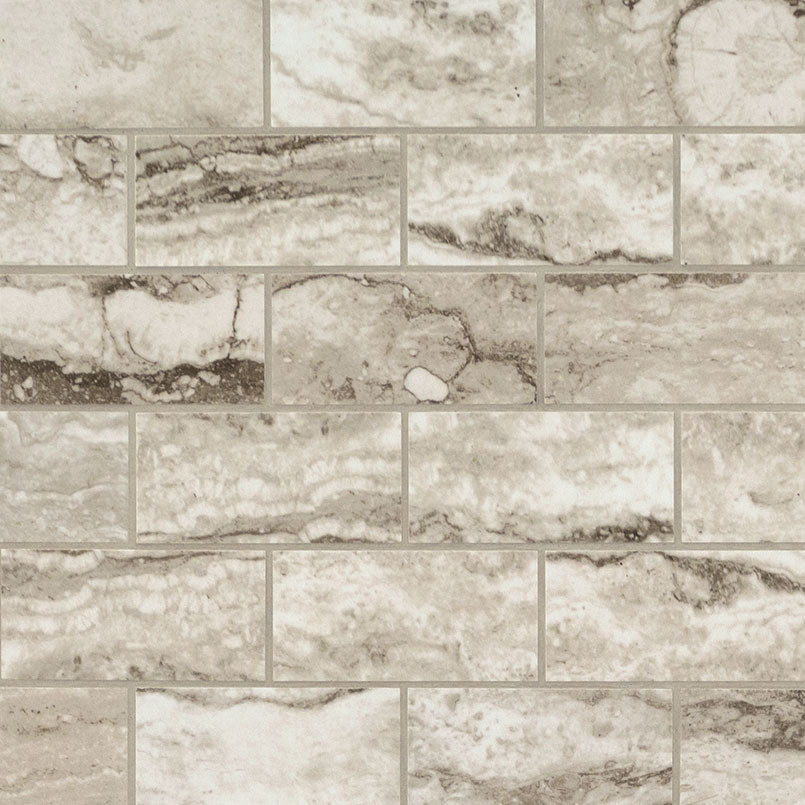 Bernini Camo 12X24 Matte