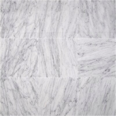 Carrara White (C) 18X18 Honed