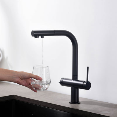 Halo 2-in-1 Pull Out Kitchen Filtration Faucet - CFF-502  - Shop at Home Craft Studio - 26