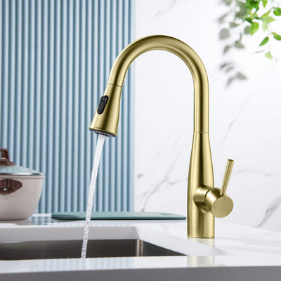 Plano Single Handle Pull Down Kitchen & Bar Sink Faucet - CKF-2015  - Shop at Home Craft Studio - 3