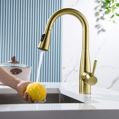 Plano Single Handle Pull Down Kitchen & Bar Sink Faucet - CKF-2015  - Shop at Home Craft Studio - 6