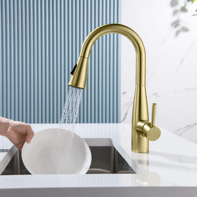 Plano Single Handle Pull Down Kitchen & Bar Sink Faucet - CKF-2015  - Shop at Home Craft Studio - 7