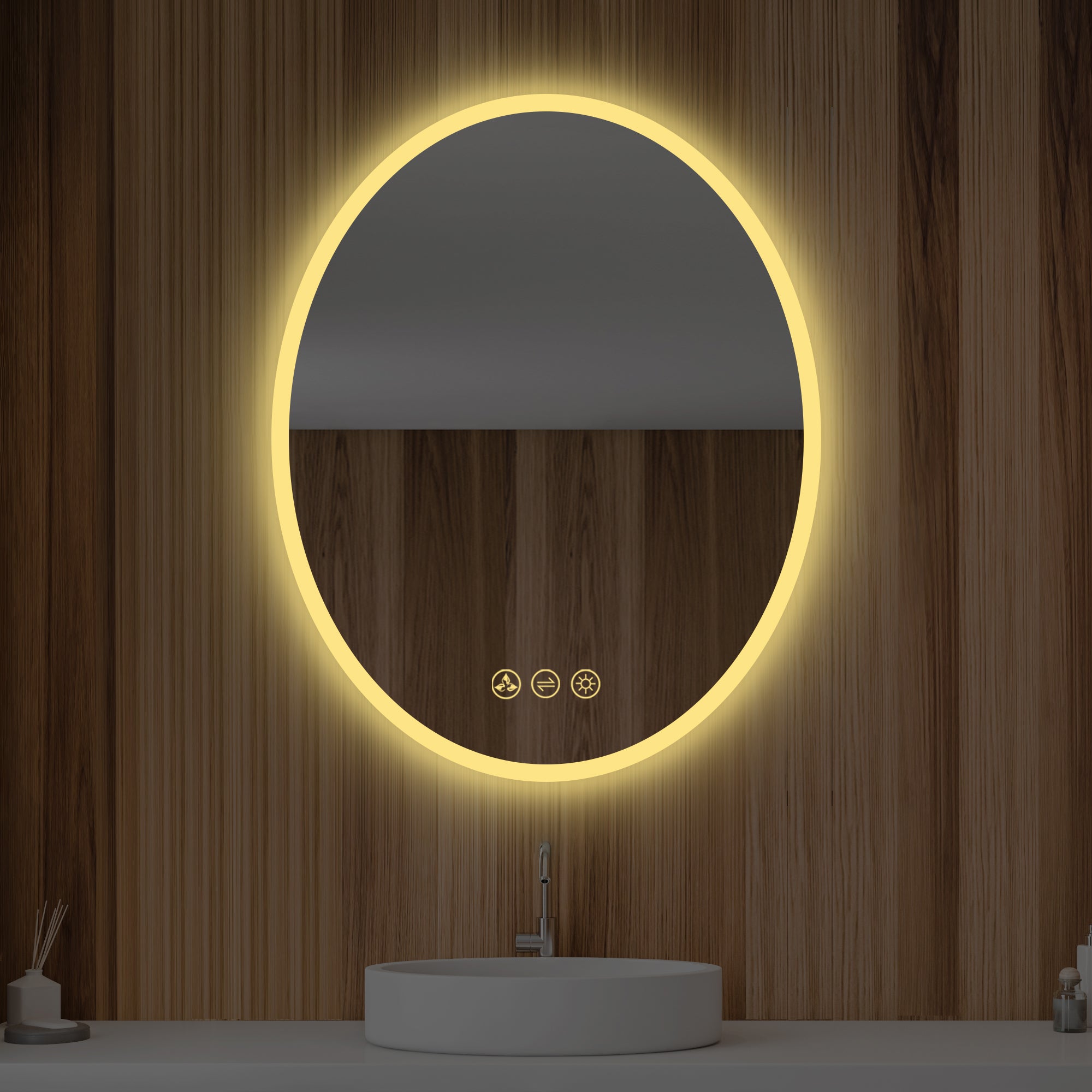 Oval 20 Inch Oval LED Mirror