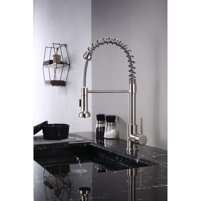 Lanuvio Brass Kitchen Faucet w/ Pull Out Sprayer Faucet - Shop at Home Craft Studio - 2