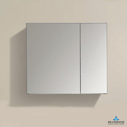 25″ Aluminum Medicine Cabinet with Mirror – MC7 2526