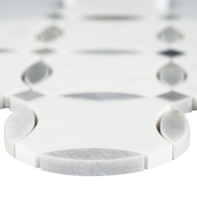 BIANCO DOLOMITE LOLA POLISHED Mosaic - Shop at Home Craft Studio - 4