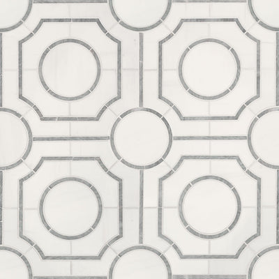 BIANCO DOLOMITE REGENCY POLISHED Wall Tile, Floor or Wall Tile - Shop at Home Craft Studio - 1