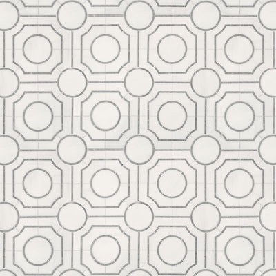 BIANCO DOLOMITE REGENCY POLISHED Wall Tile, Floor or Wall Tile - Shop at Home Craft Studio - 2