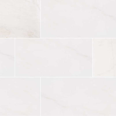 Bianco Dolomite 12X24 Polished Floor or Wall Tile, Mosaic - Shop at Home Craft Studio - 1