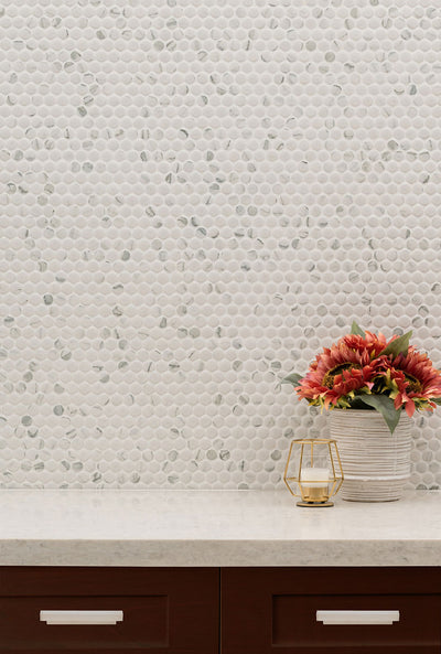 CARRARA PENNY ROUND MATTE Mosaic - Shop at Home Craft Studio - 6