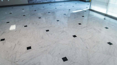 Carrara White (C) 12X12 Honed Floor or Wall Tile - Shop at Home Craft Studio - 8