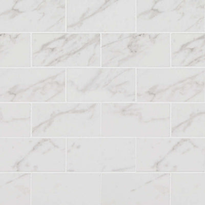 PIETRA CARRARA 2X4 MOSAIC POLISHED Mosaic, Floor or Wall Tile - Shop at Home Craft Studio - 1