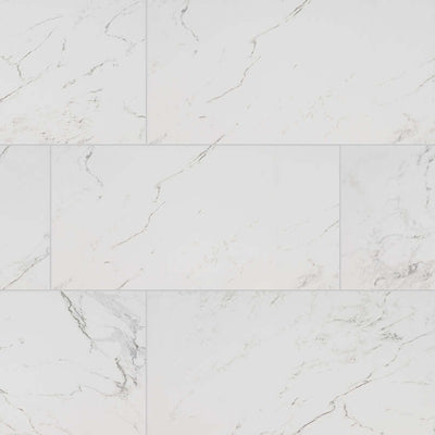Pietra Carrara 12X24 Polished Floor or Wall Tile - Shop at Home Craft Studio - 1