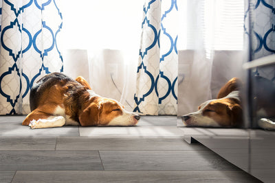 SMITHCLIFFS MALTON 7x48 Flooring - Shop at Home Craft Studio - 9