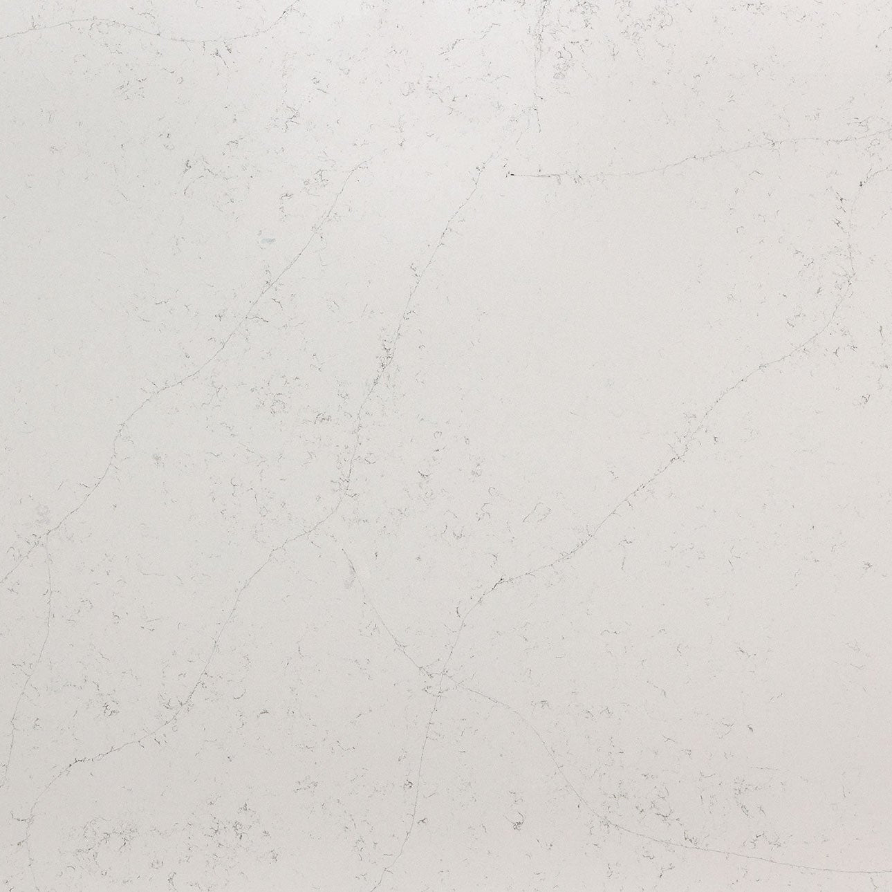 Calacatta Botanica Countertops - Shop at Home Craft Studio - 1