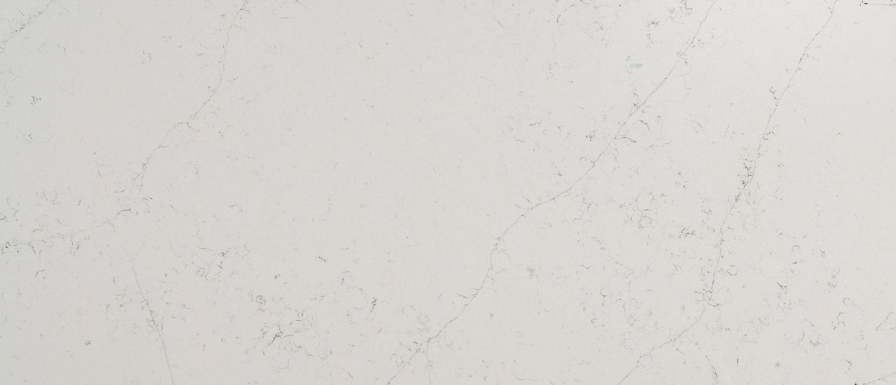 Calacatta Botanica Countertops - Shop at Home Craft Studio - 2