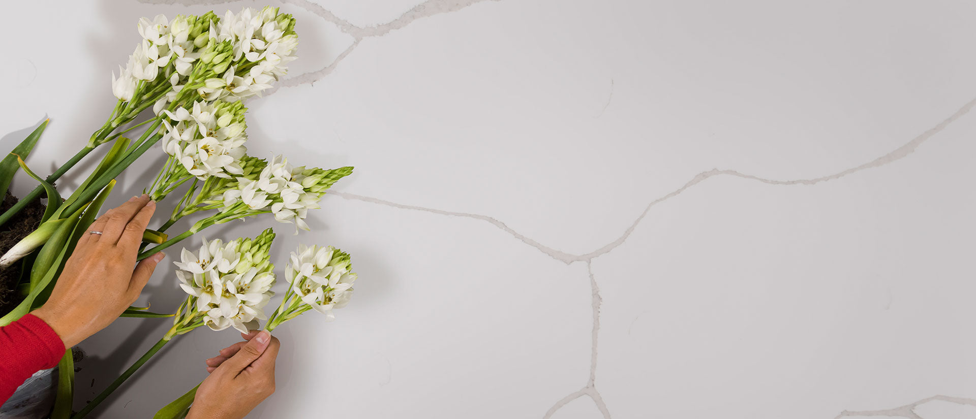 Calacatta Classique Countertops - Shop at Home Craft Studio - 4