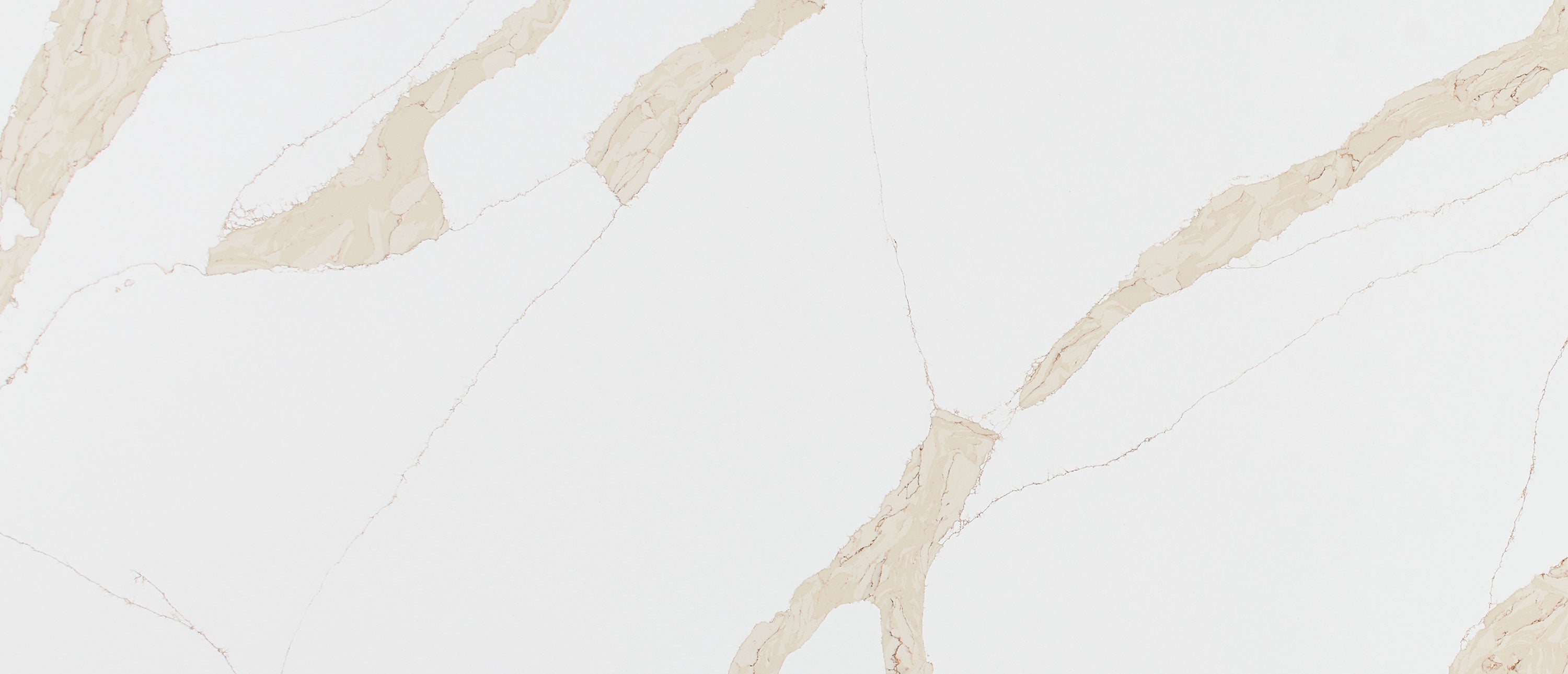 Calacatta Leon Gold Countertops - Shop at Home Craft Studio - 2