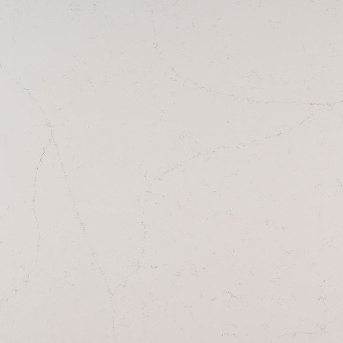 MSI Alabaster White Quartz Countertop Countertops - Shop at Home Craft Studio - 1