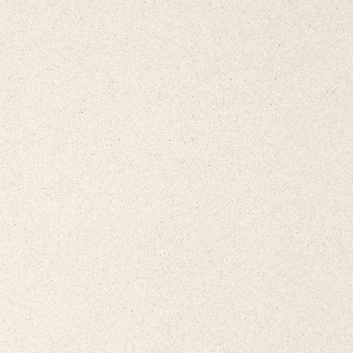 MSI Aruca White Quartz Countertop Countertops - Shop at Home Craft Studio - 1