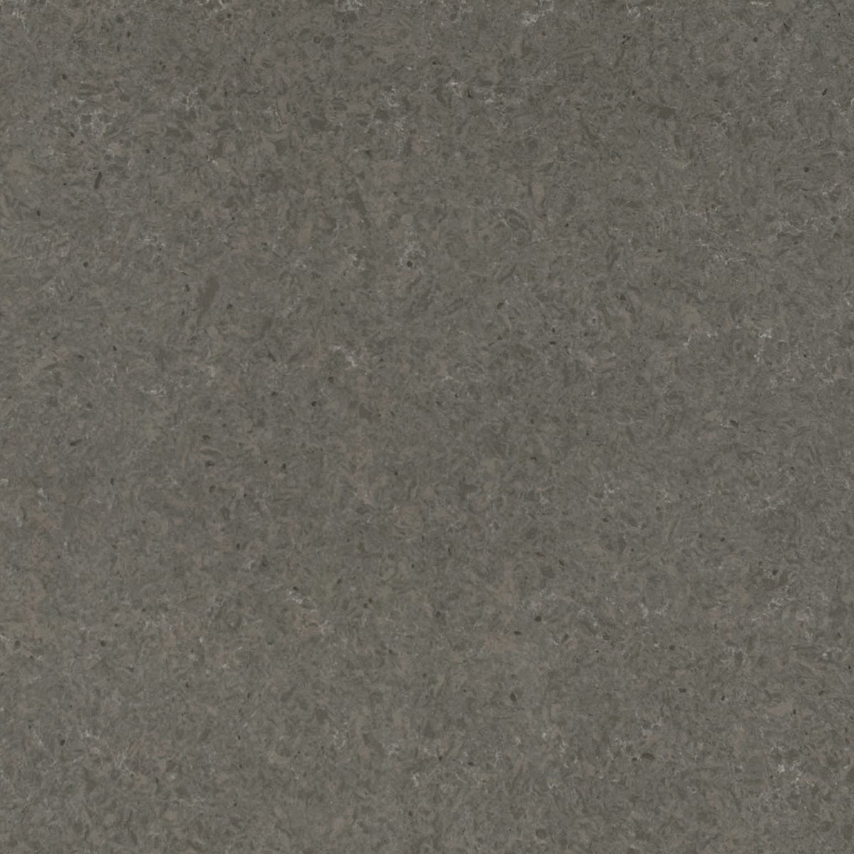 MSI Babylon Gray Quartz Countertop Countertops - Shop at Home Craft Studio - 1