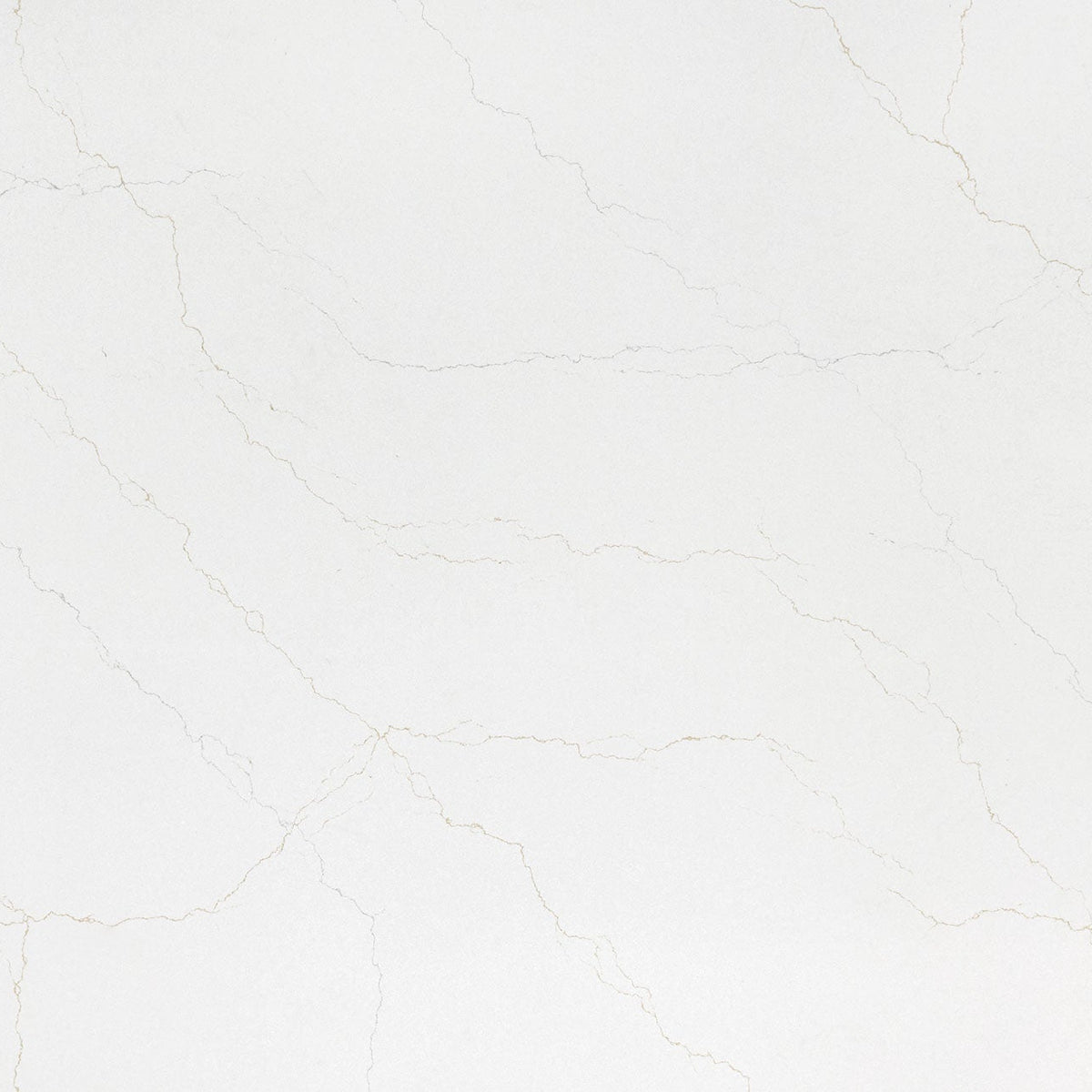 MSI Calacatta Adonia Quartz Countertop Countertops - Shop at Home Craft Studio - 1