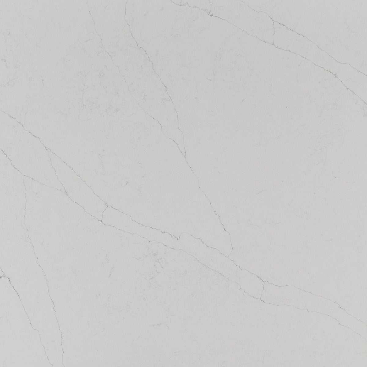 MSI Calacatta Alto Quartz Countertop Countertops - Shop at Home Craft Studio - 1