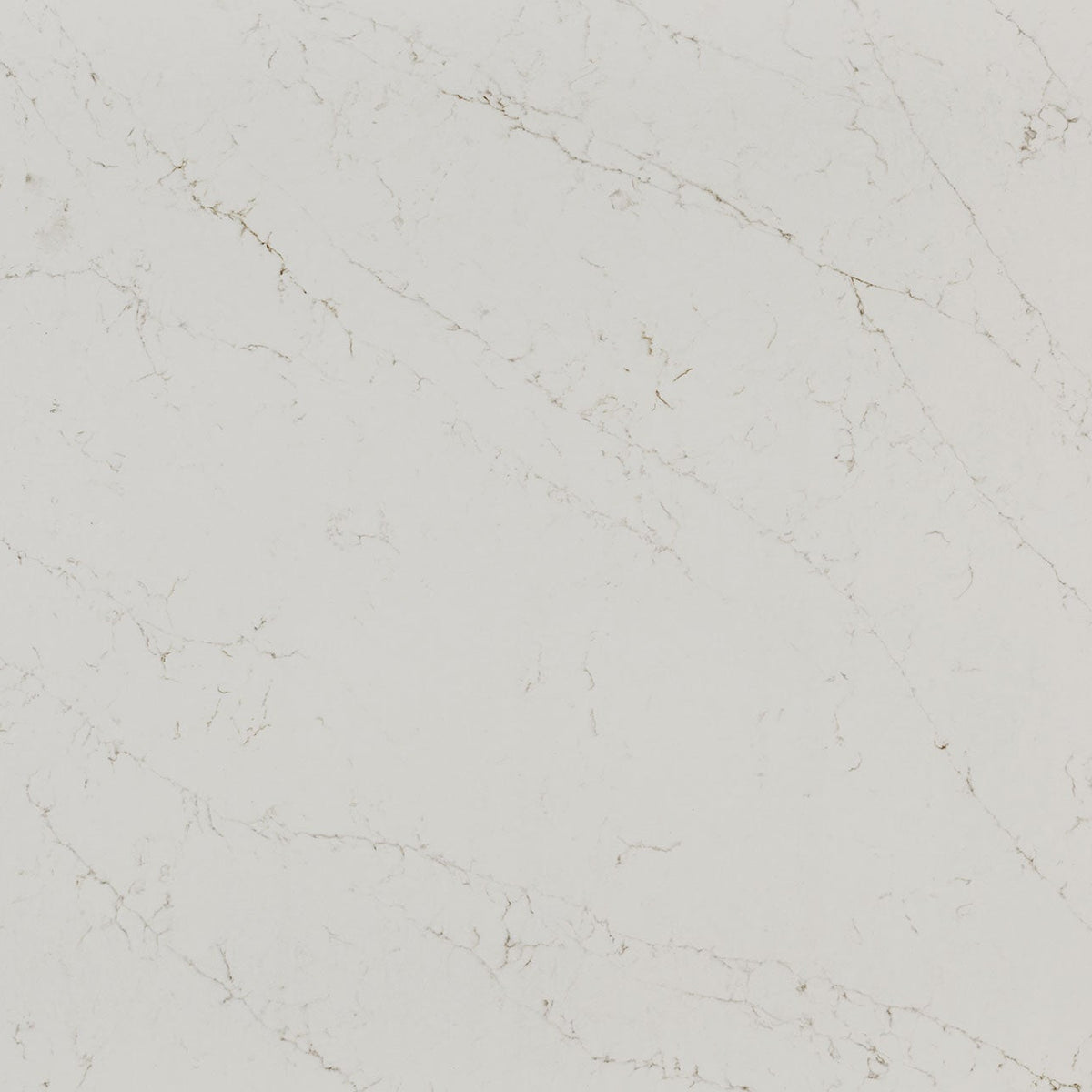 MSI Calacatta Delios Quartz Countertop Countertops - Shop at Home Craft Studio - 1