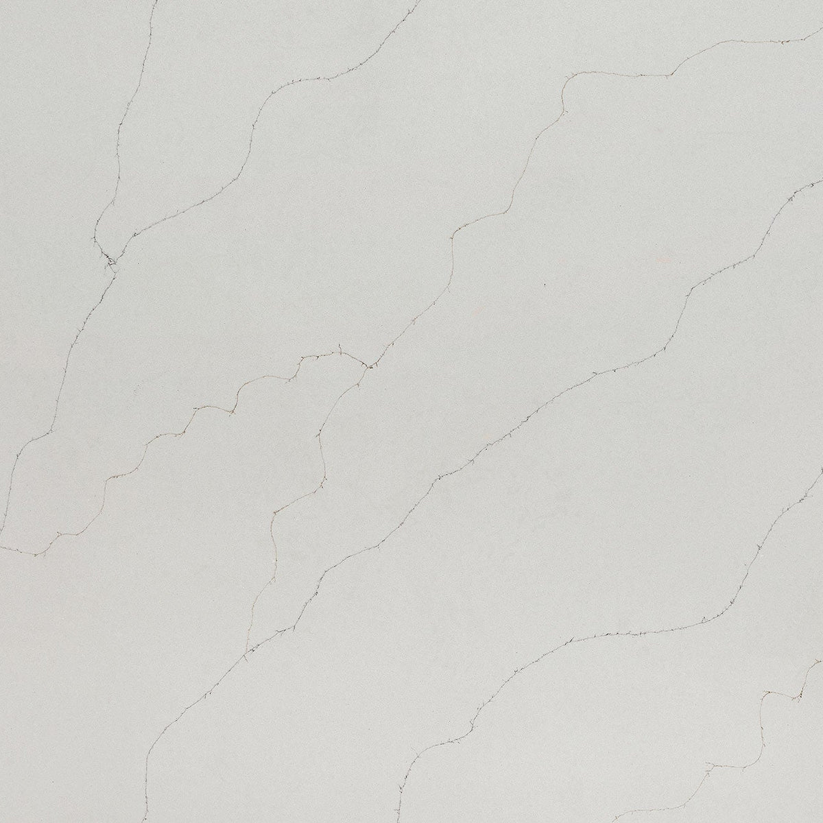 MSI Calacatta Duolina Quartz Countertop Countertops - Shop at Home Craft Studio - 1
