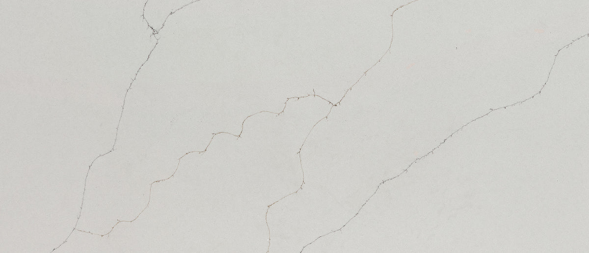MSI Calacatta Duolina Quartz Countertop Countertops - Shop at Home Craft Studio - 2
