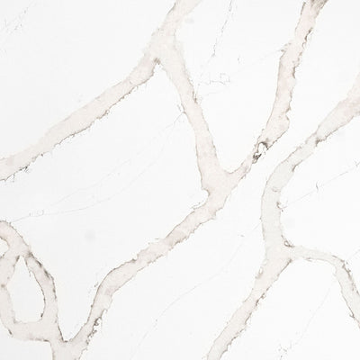 MSI Calacatta Goa Quartz Countertop Countertops - Shop at Home Craft Studio - 1
