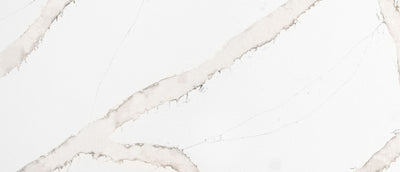 MSI Calacatta Goa Quartz Countertop Countertops - Shop at Home Craft Studio - 2