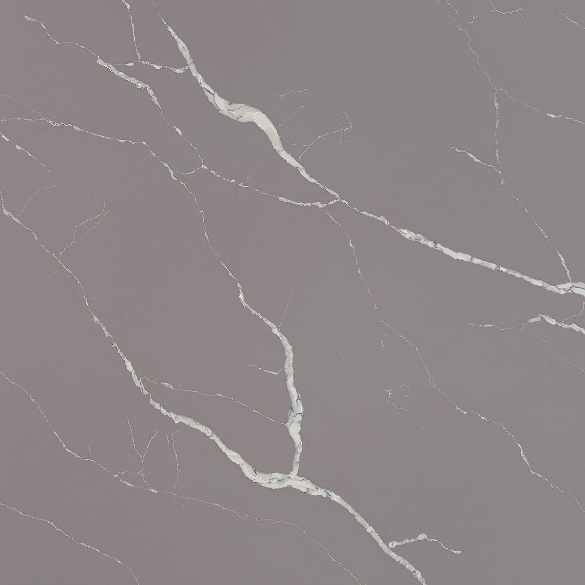 MSI Calacatta Laza Grigio Quartz Countertop Countertops - Shop at Home Craft Studio - 1