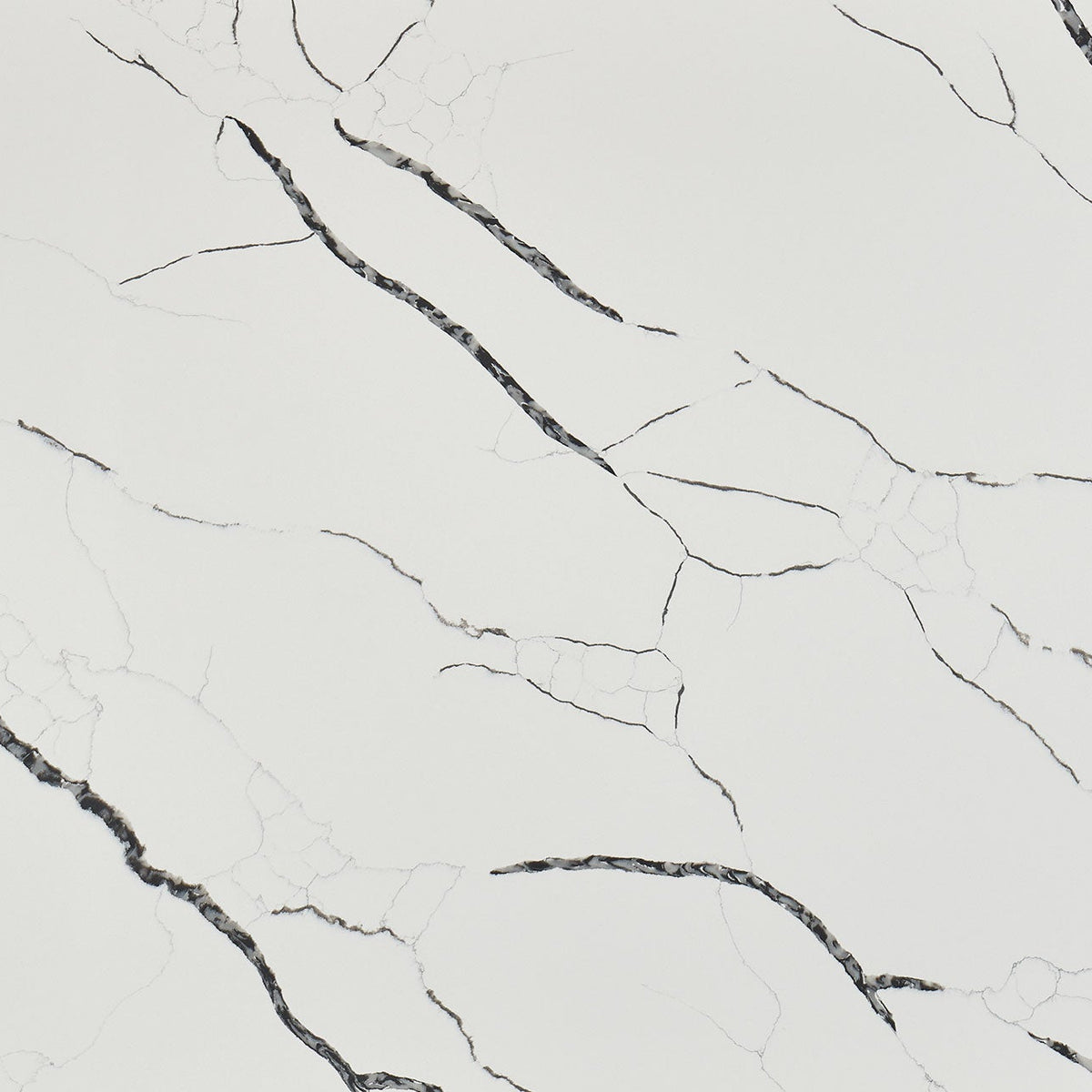 MSI Calacatta Laza Night Quartz Countertop Countertops - Shop at Home Craft Studio - 1