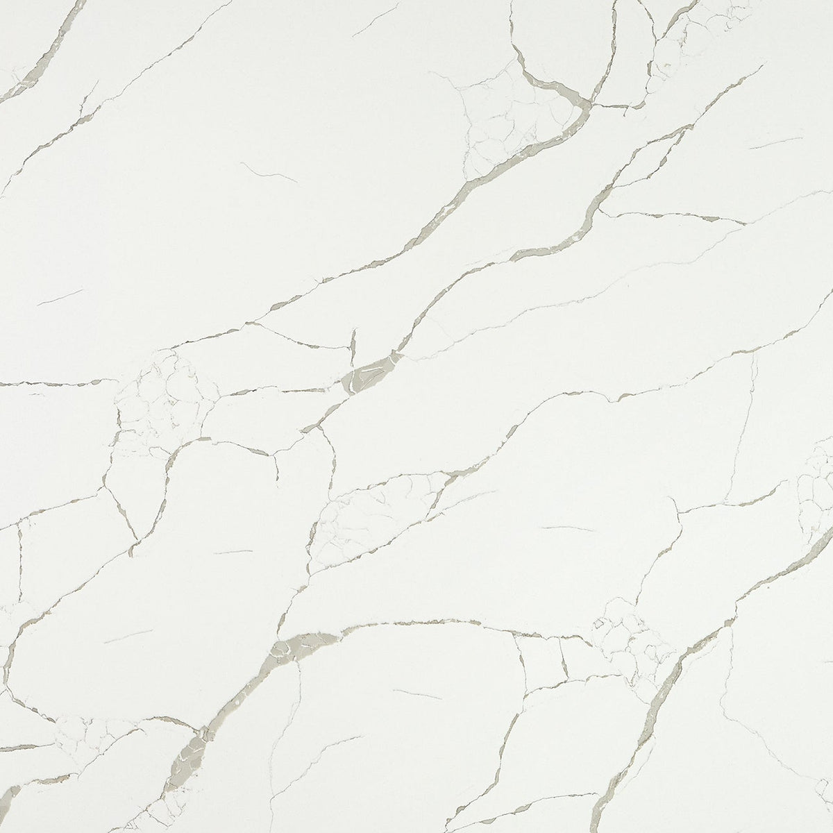 MSI Calacatta Laza Quartz Countertop Countertops - Shop at Home Craft Studio - 1