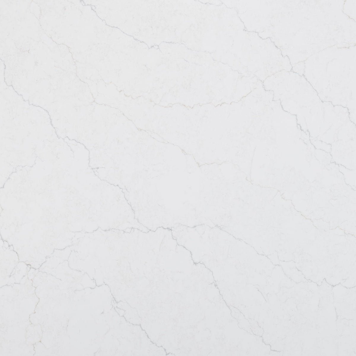 MSI Calacatta Miraggio Duo Quartz Countertop Countertops - Shop at Home Craft Studio - 1