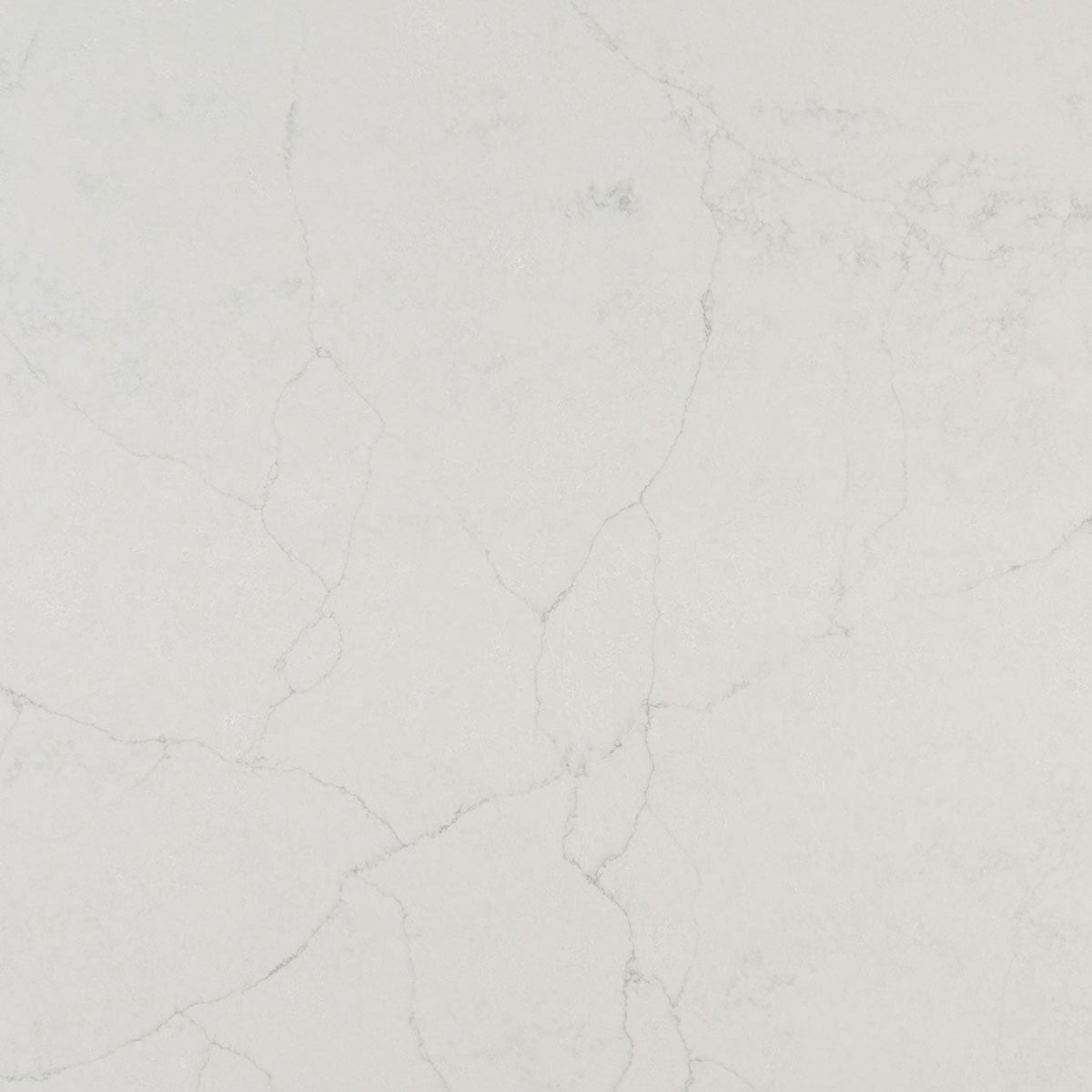 MSI Calacatta Monaco Quartz Countertop Countertops - Shop at Home Craft Studio - 1