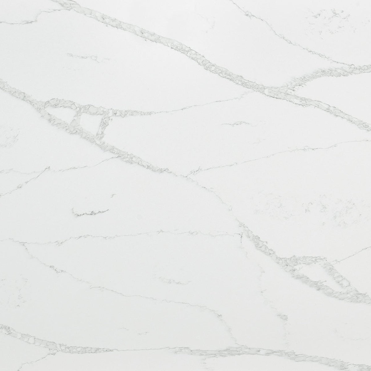 MSI Calacatta Verona Quartz Countertop Countertops - Shop at Home Craft Studio - 1