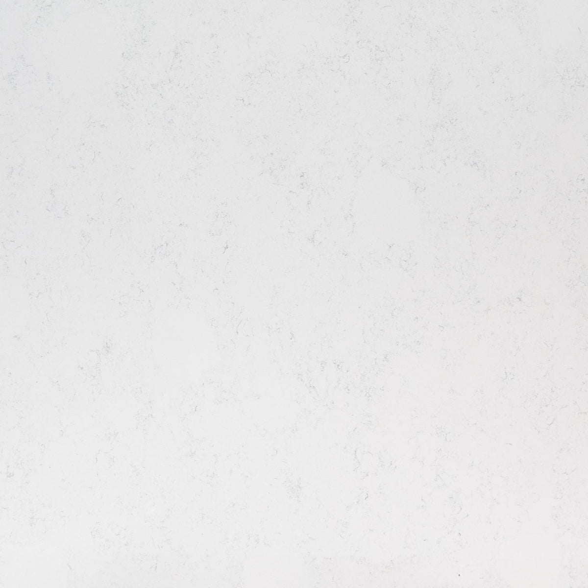 MSI Calacatta Vicenza Quartz Countertop Countertops - Shop at Home Craft Studio - 1