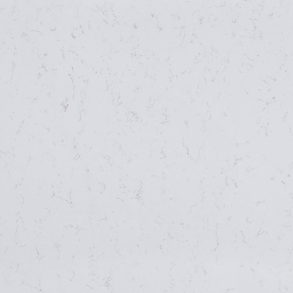 MSI Carrara Breve Quartz Countertop Countertops - Shop at Home Craft Studio - 1