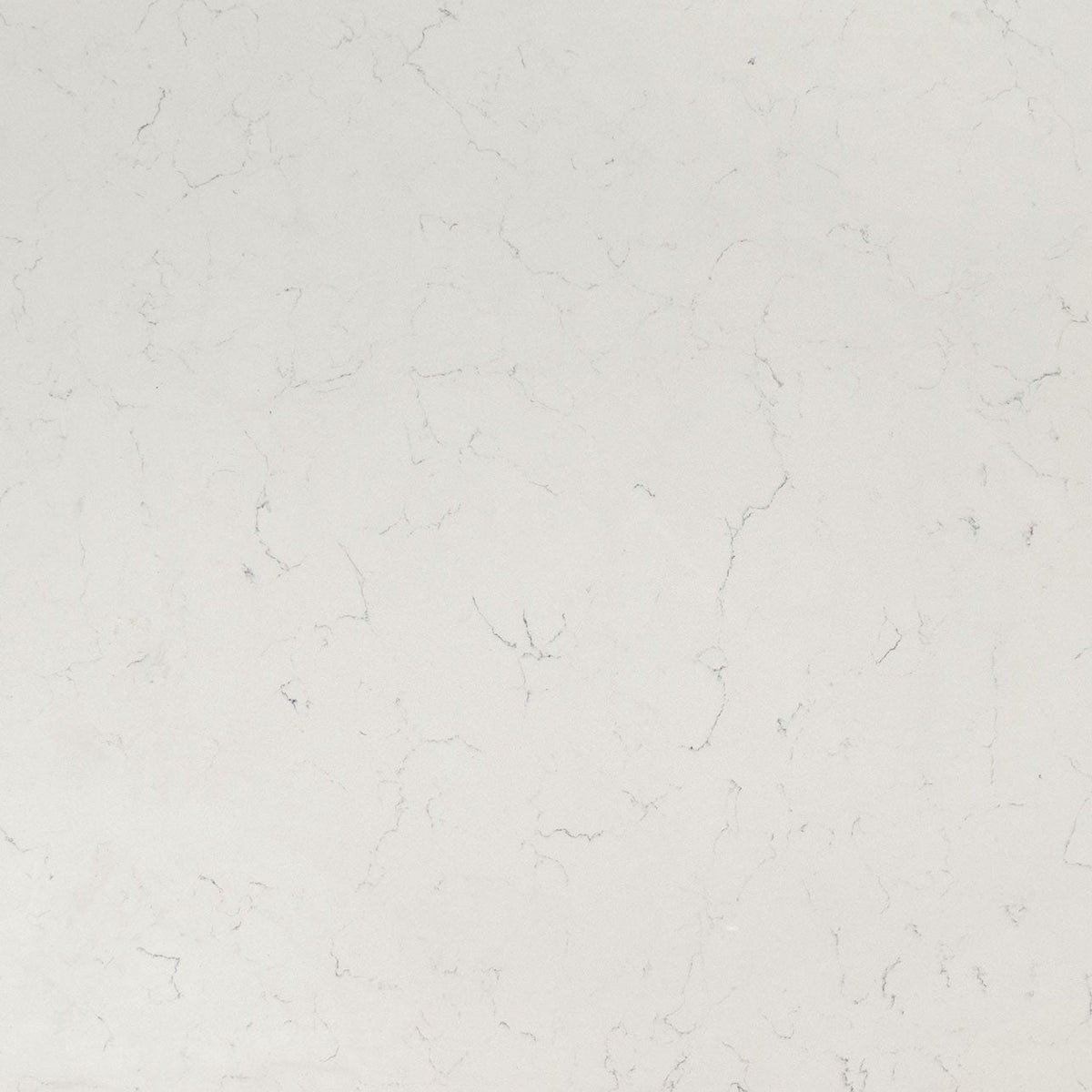 MSI Carrara Delphi Quartz Countertop Countertops - Shop at Home Craft Studio - 1